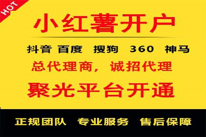 SEM服务公司助力品牌崛起案例